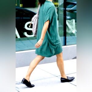 Everlane silk shirt dress